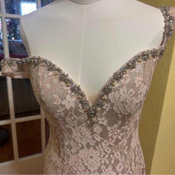 Elegant Lace Mermaid Gown - Picture 2 of 9